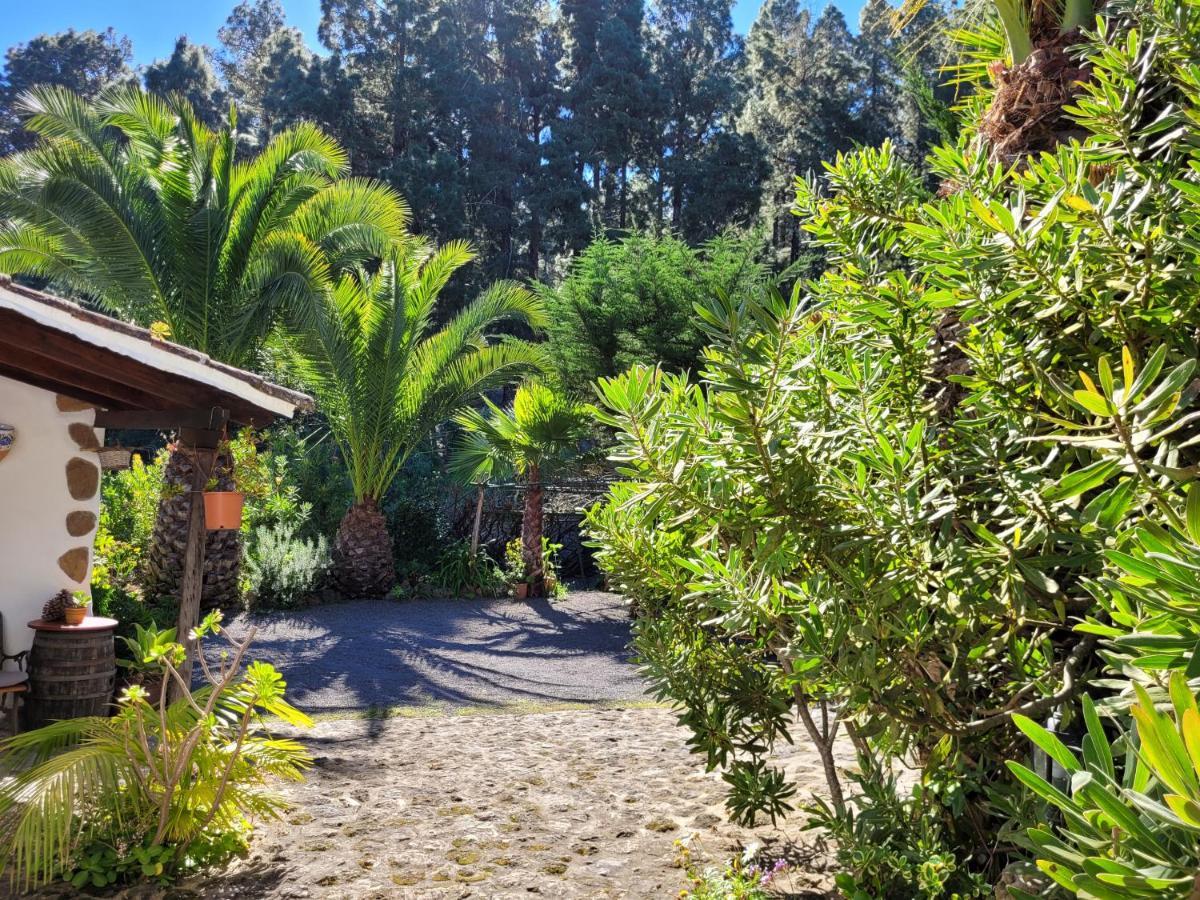 Finca Llano De La Cebolla Icod De Los Vinos Exterior foto