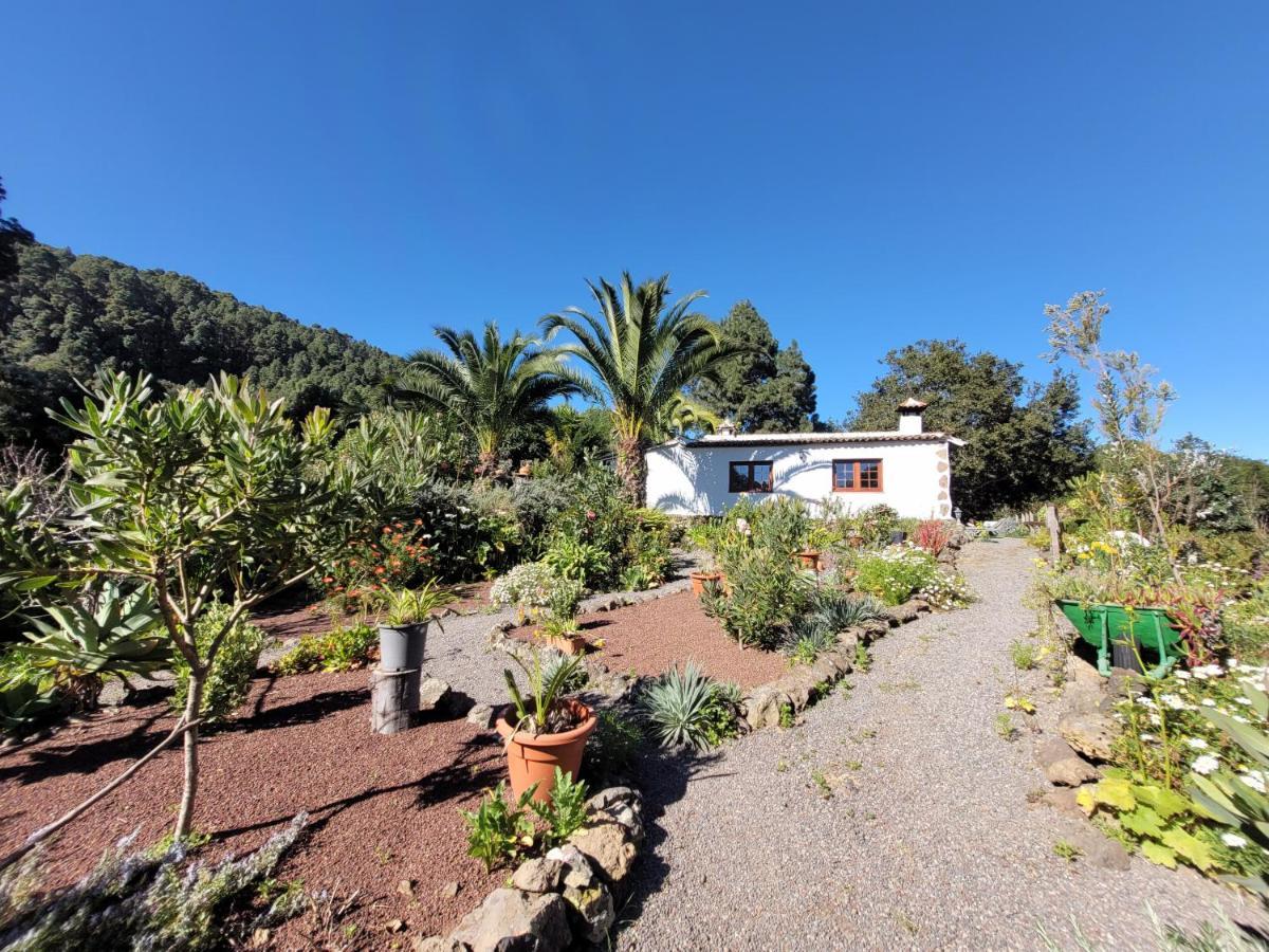 Finca Llano De La Cebolla Icod De Los Vinos Exterior foto