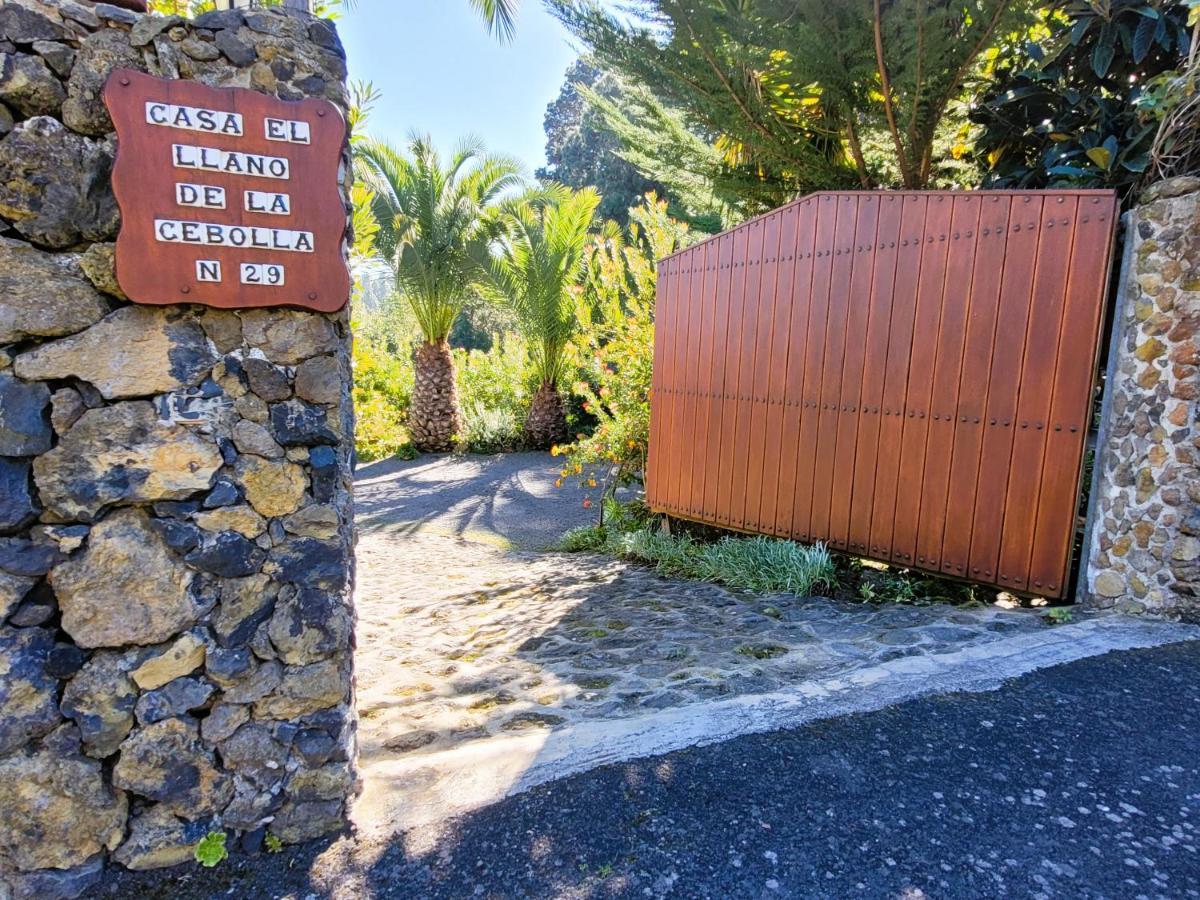 Finca Llano De La Cebolla Icod De Los Vinos Exterior foto