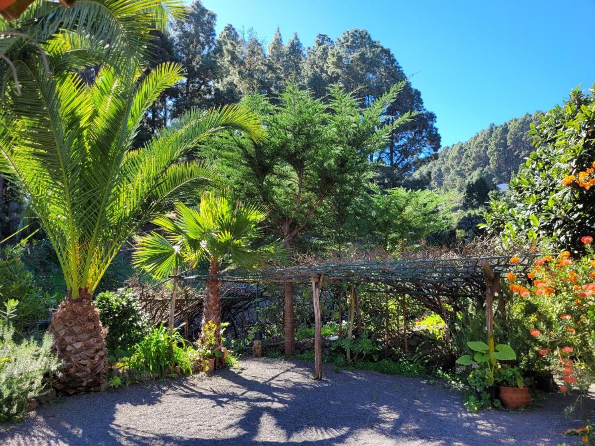 Finca Llano De La Cebolla Icod De Los Vinos Exterior foto